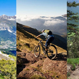 Elektrische Mountainbikes: Unsere Top 5 der besten Marken