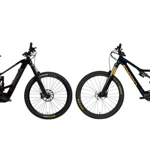 Electric mountain bikes: Wild or Rise, which should you choose?