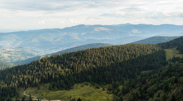 Route bucolique pour faire du vélo dans les Vosges