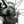 Cargar imagen en el visor de la galería, Look 795 Blade RS Disc Sram Red eTap AXS - 2022, Medium
