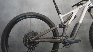 Vidéo du Specialized Stumpjumper EVO Elite Alloy