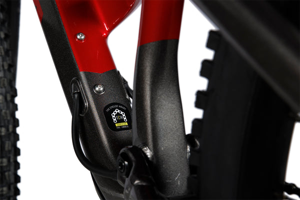 Certification The Cyclist House sur Orbea Occam H20 LT - 2022