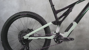 Video du Specialized Stumpjumper Evo Expert